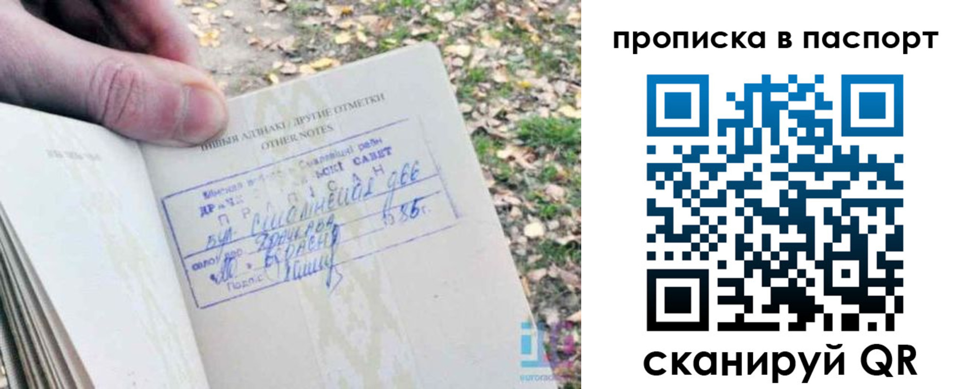 купить прописку в Сочи